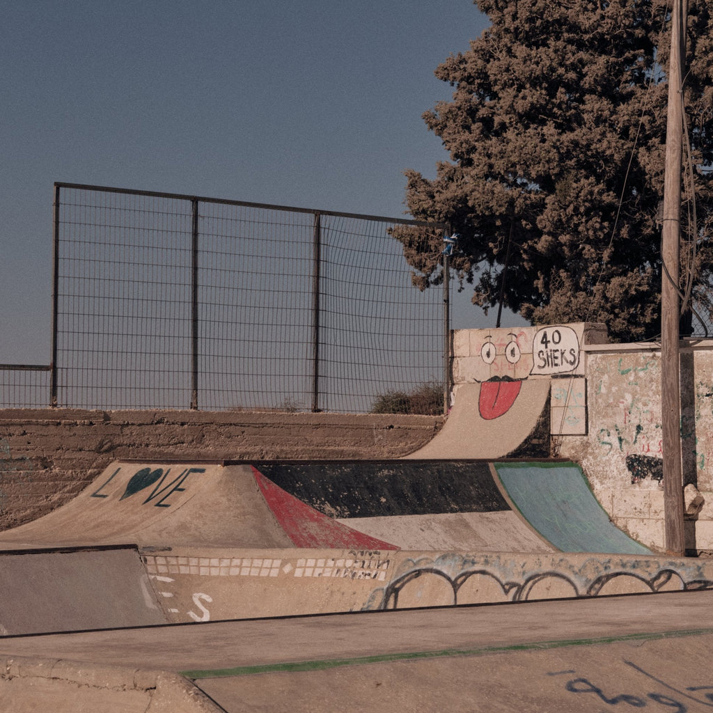 SkatePal '40 Sheks' socks