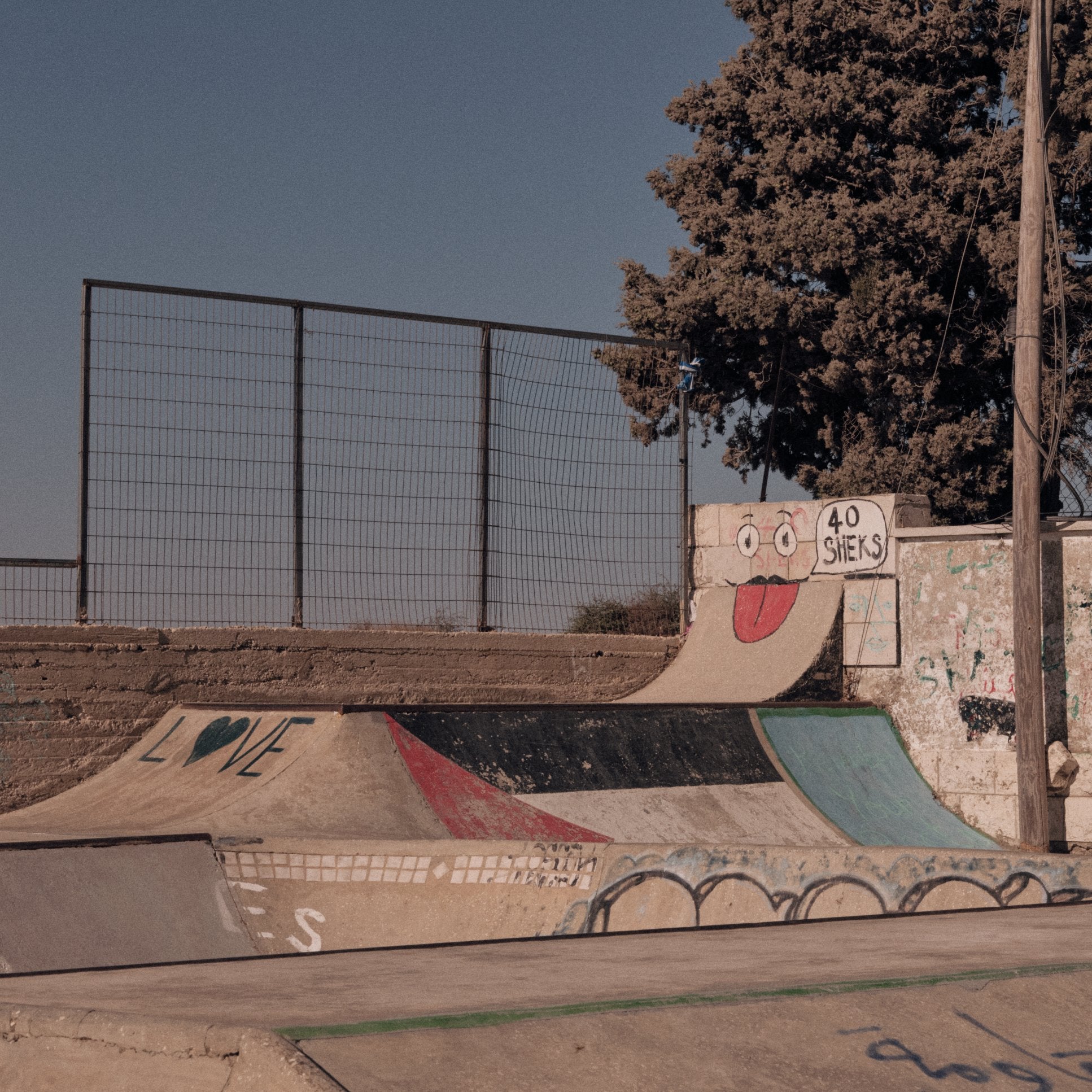 SkatePal '40 Sheks' socks