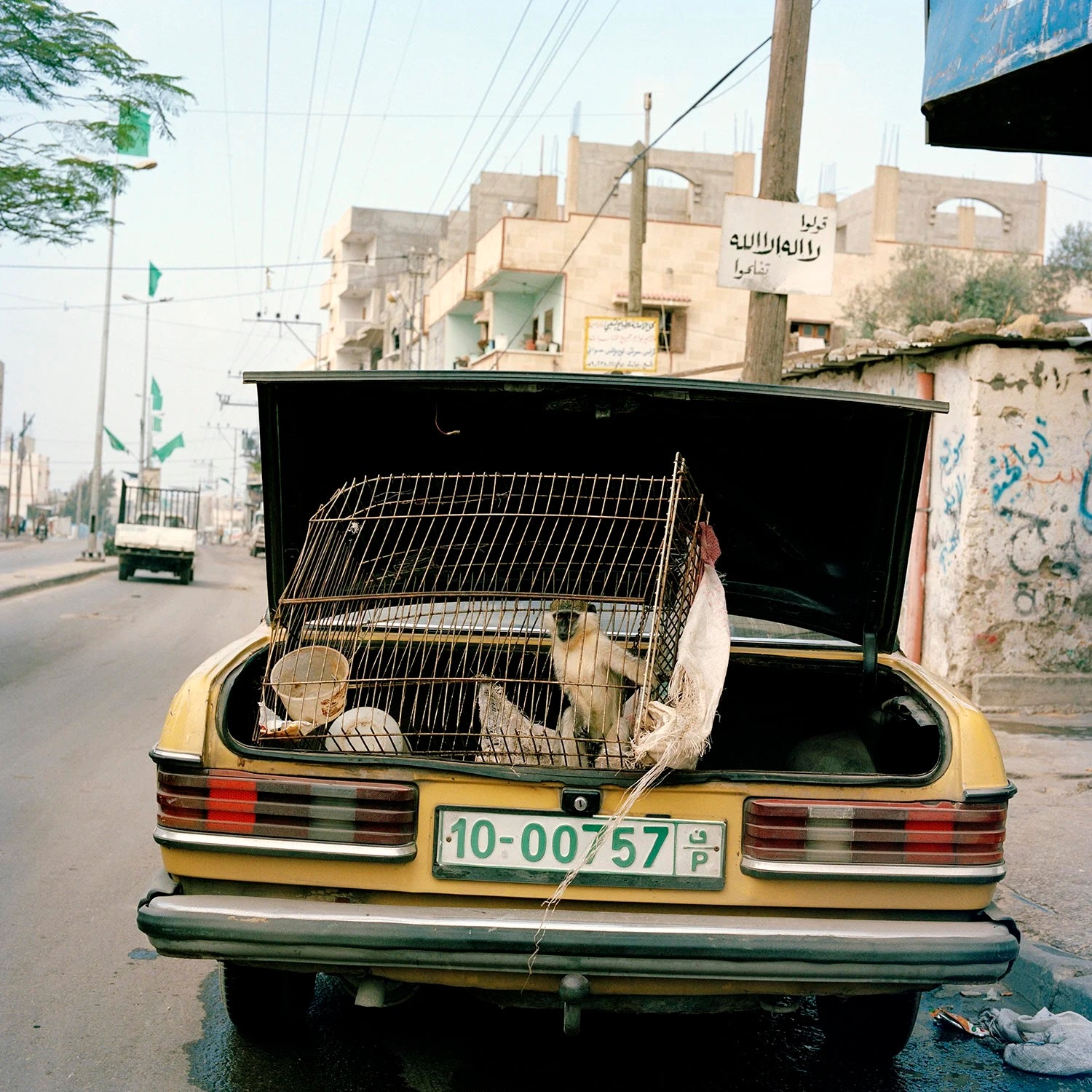 SkatePal 'Licence Plate' Tee