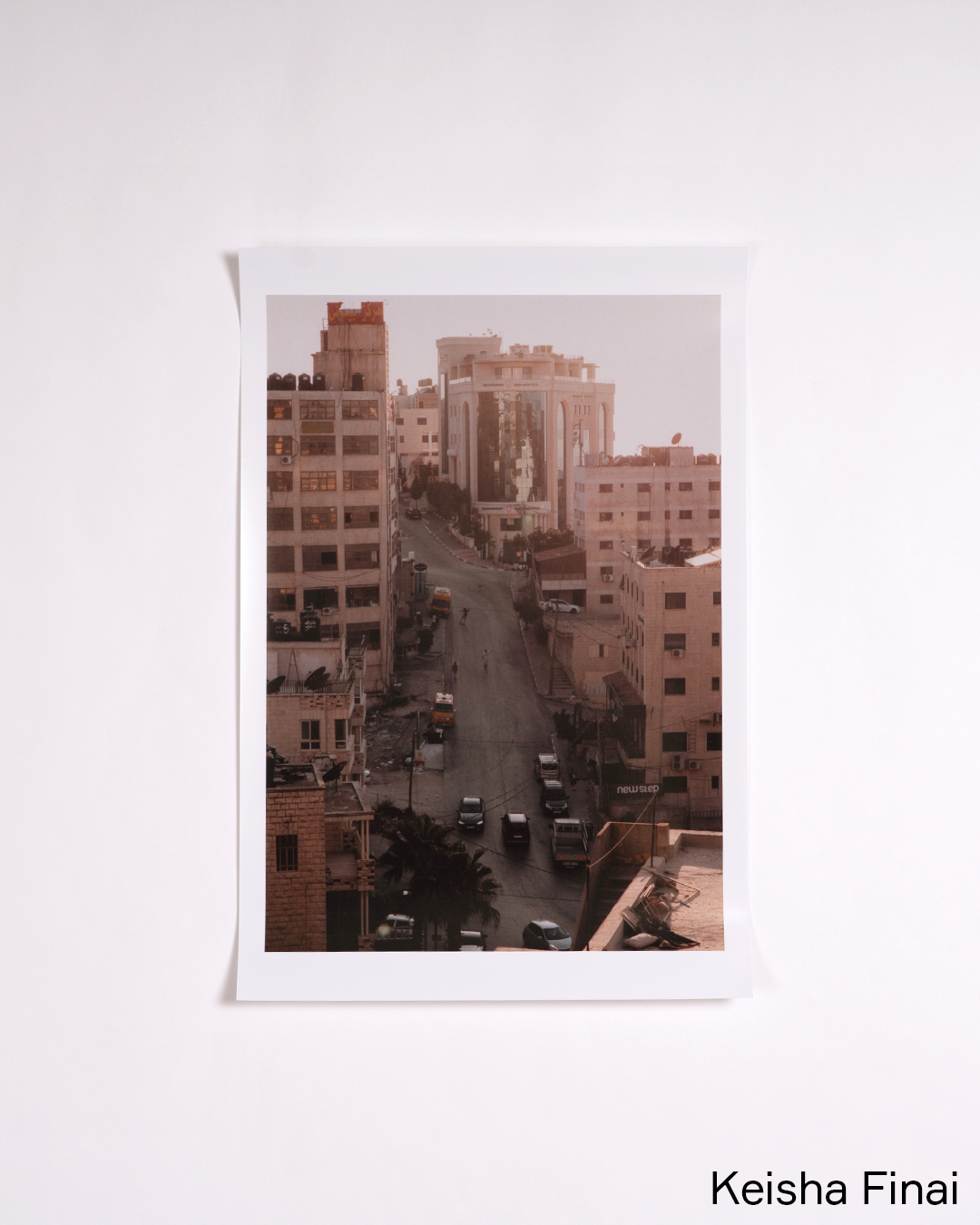 SkatePal Editions #1