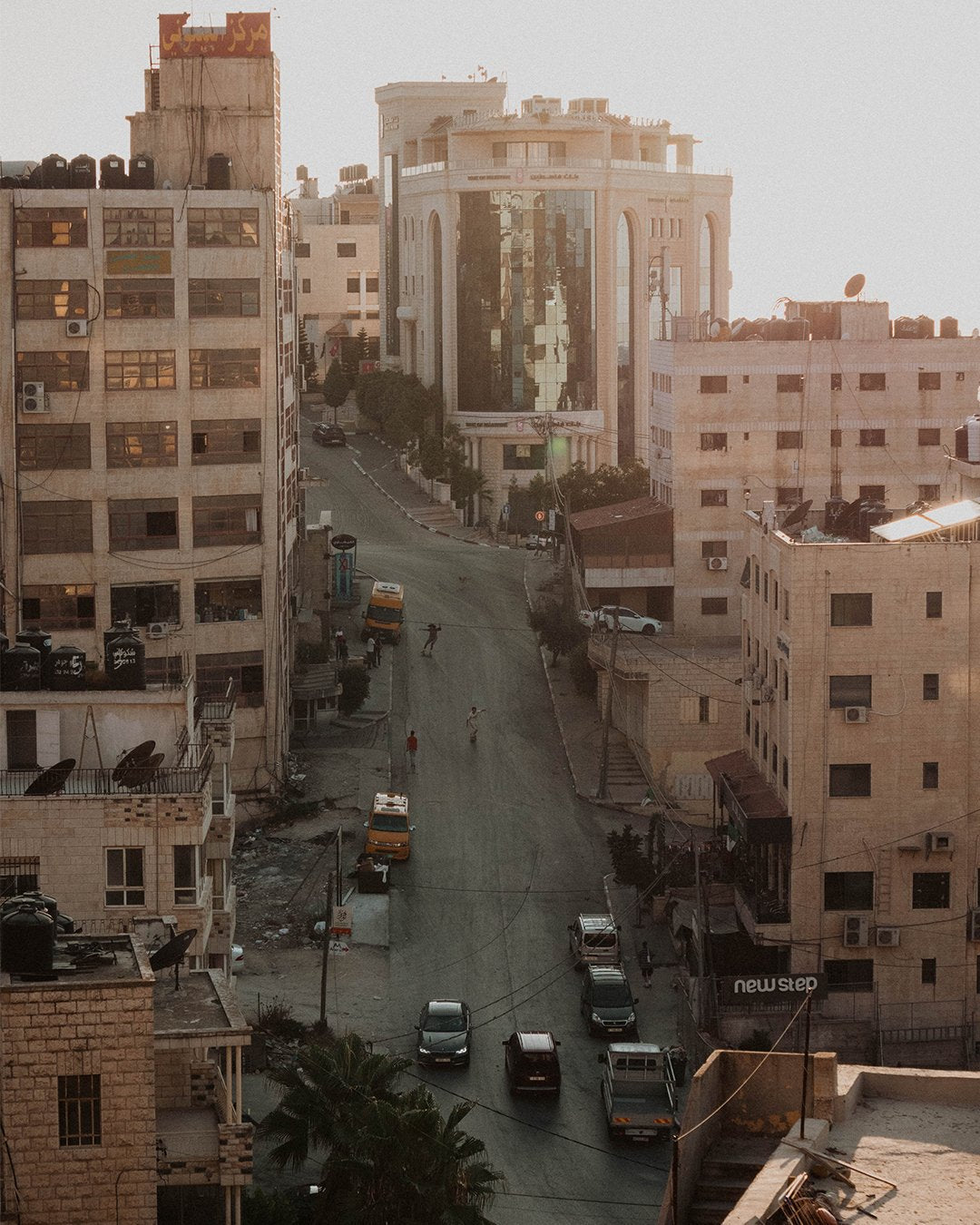 SkatePal Editions #1