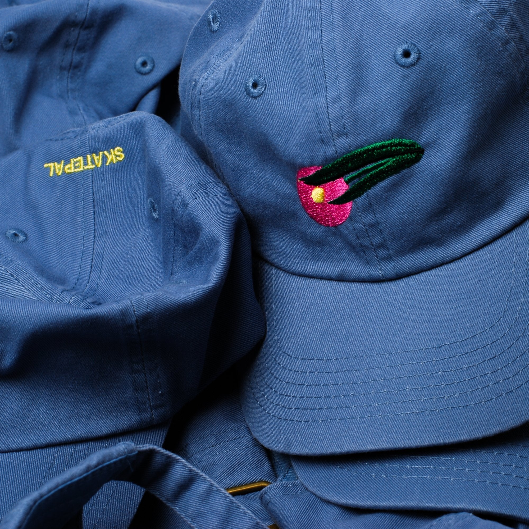 Eija Vehviläinen x SkatePal 'IWD' cap