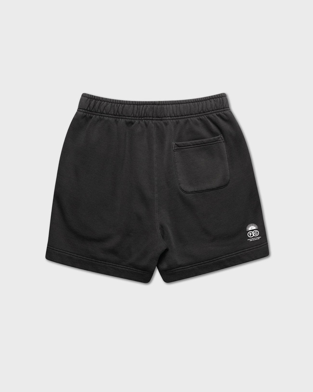 Fichier Caché x SkatePal 'Thriving' Shorts