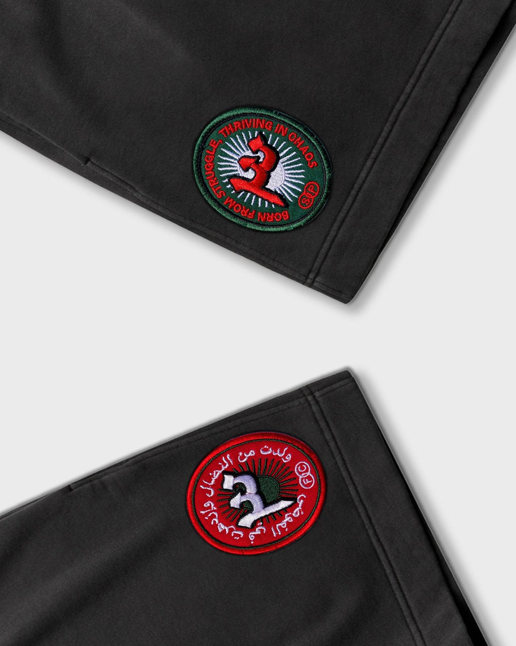 Fichier Caché x SkatePal 'Thriving' Shorts