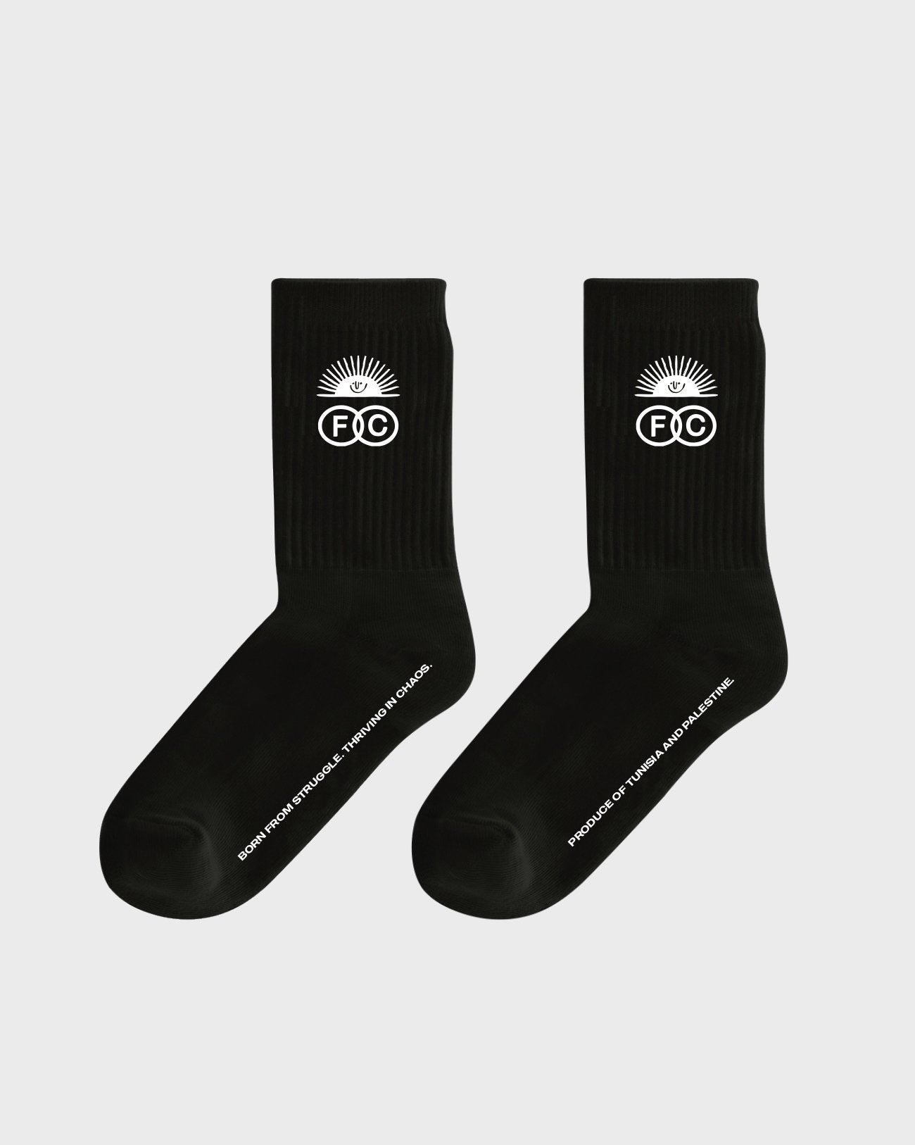 Fichier Caché x SkatePal Socks