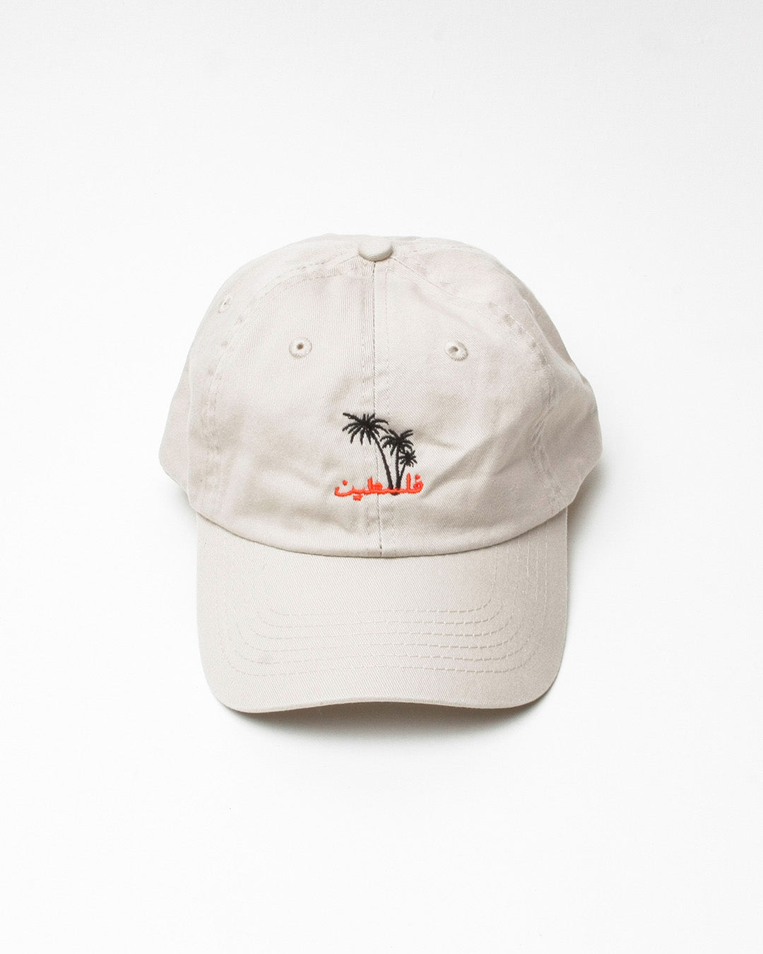 SkatePal 'Palms' Cap