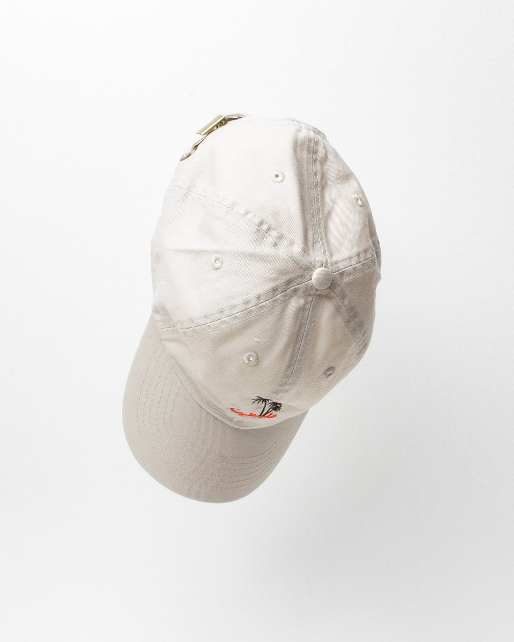 SkatePal 'Palms' Cap