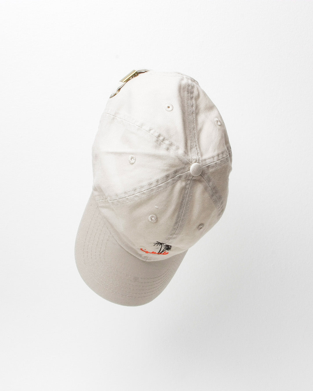 SkatePal 'Palms' Cap