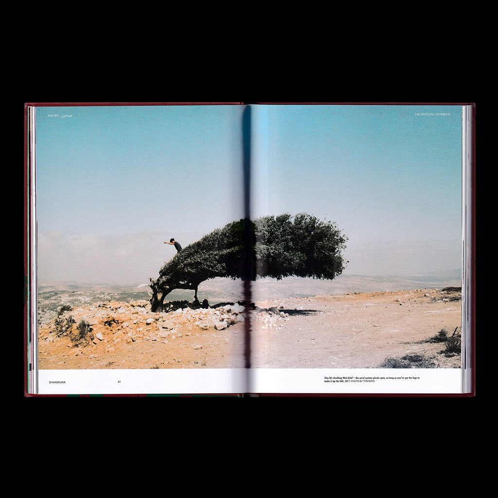 SAHTEN – The SkatePal Cookbook