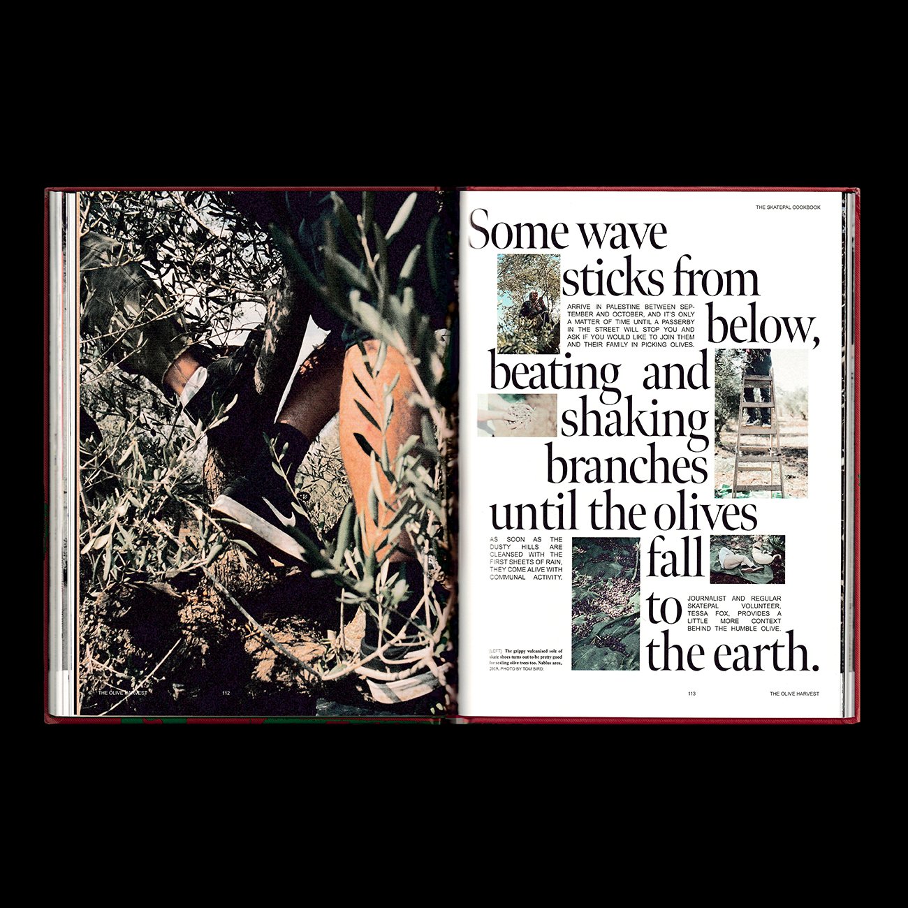 SAHTEN – The SkatePal Cookbook